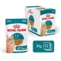 Šlapias kačių ėdalas Royal Canin FHN Ageing 11+ Gravy 12×85 g – senjorams skirti pilnaverčiai dubenėliai