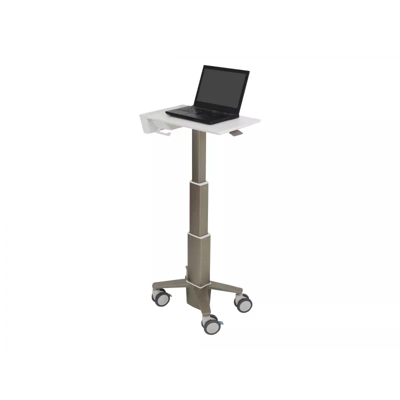 Nešiojamojo kompiuterio stovas Ergotron C50-1100-0 pilkas 39,6 cm