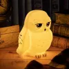 Stalinė lempa Paladone Hedwig Light V3 – LED naktinė lemputė pelėdos formos