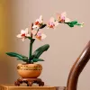 LEGO ICONS 10343 Botaninė kolekcija – Mini orchidėja