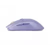 Pelė SteelSeries 62525 RF belaidė + Bluetooth