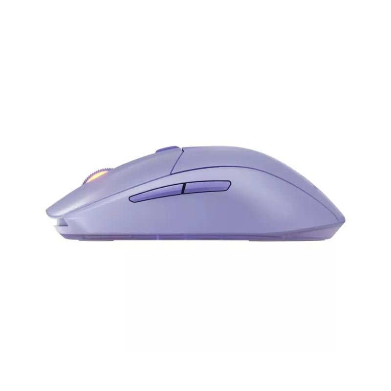 Pelė SteelSeries 62525 RF belaidė + Bluetooth