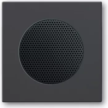 BUSCH JAEGER 2CKA008200A0078 - Juodas - kvadratinis - 8223 U - 63 mm - 63 mm