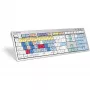 Klaviatūra Logickeyboard ALBA Universal USB AZERTY Prancūziška sidabrinė