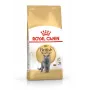 Sausas kačių ėdalas Royal Canin British Shorthair Adult 2 kg – paukštiena, 34% baltymų, 19% riebalų