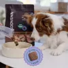 ADDVENA Boosted by superfoods Adult Medium/Large Beef - sausas šunų ėdalas - 2,5kg