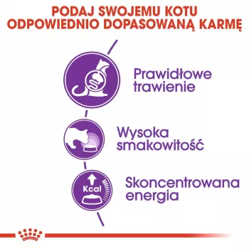 Sausas kačių ėdalas Royal Canin Sensible 33 Adult 2 kg, 33% baltymų, 22% riebalų, virškinimo palaikymui, paukštienos skonis