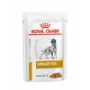 ROYAL CANIN Urinary S/O šlapias šunų ėdalas - 12 x 100g