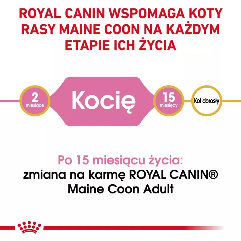 ROYAL CANIN Maine Coon Kitten sausas kačių ėdalas - 4 kg