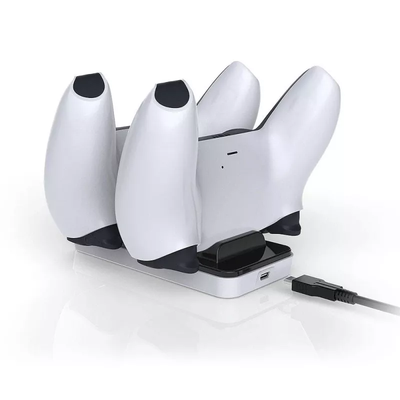 Raptor CS200-LT, vidaus, USB, juoda, balta
