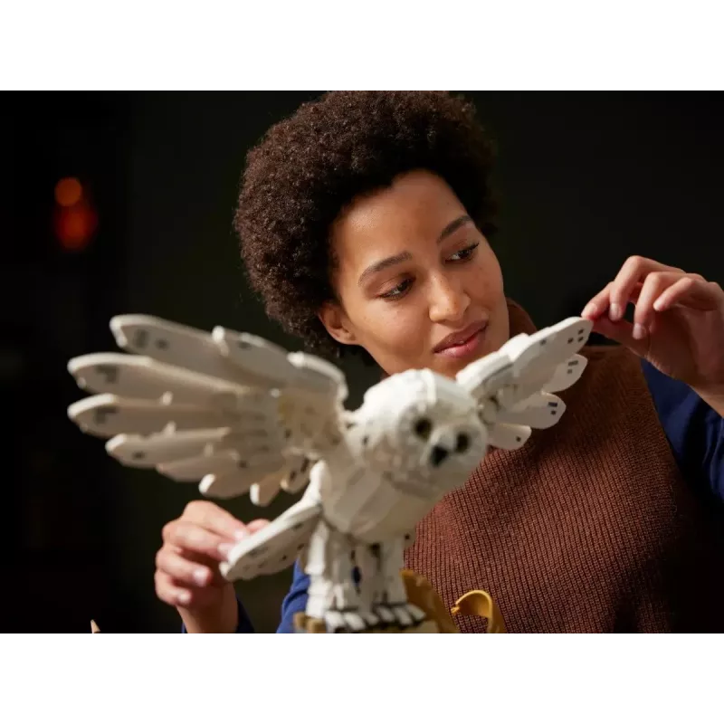 LEGO Harry Potter 76391 Hogvartso ikonos - kolekcinė versija