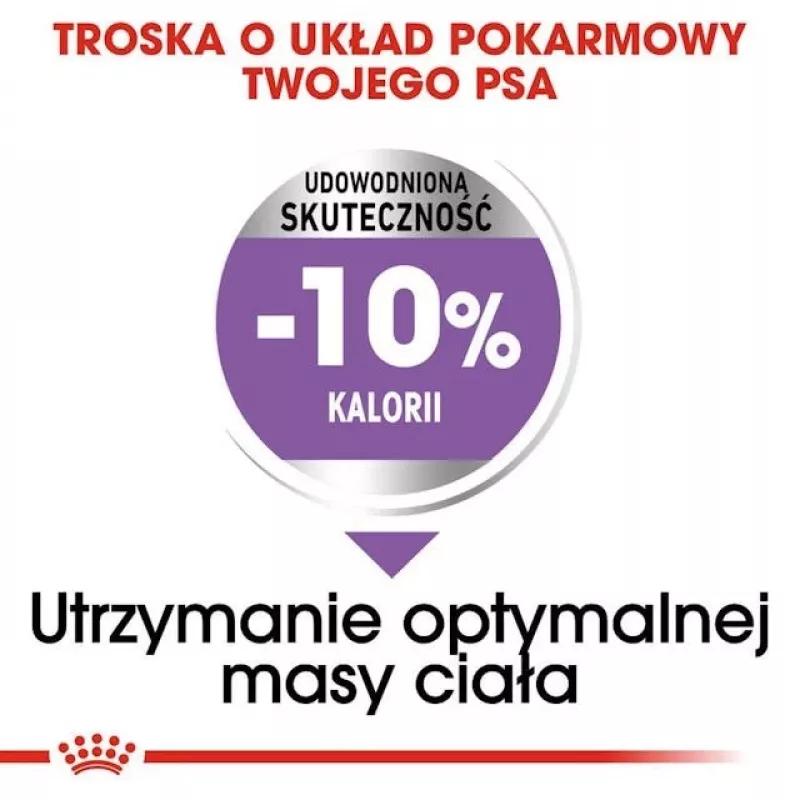 Sausas šunų ėdalas Royal Canin Medium Sterilised Adult 12 kg – sterilizuotiems vidutinių veislių suaugusiems šunims, paukštiena, baltymai 28%, riebalai 13%