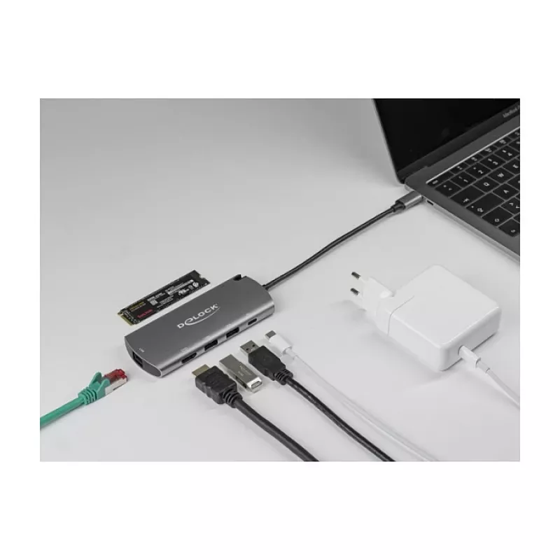 Docking stotelė DeLOCK USB Type-C su M.2 lizdu