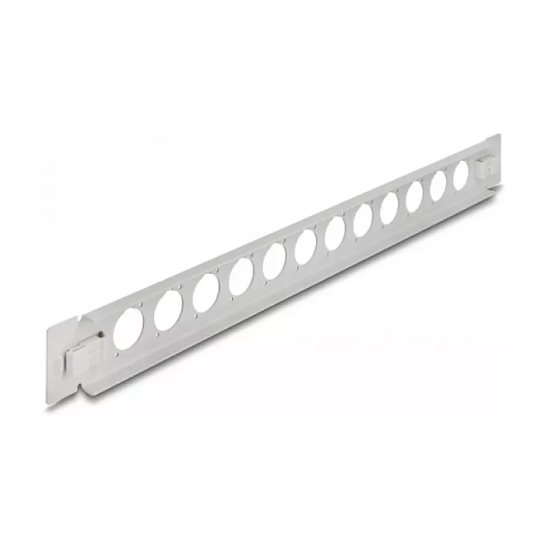 Patch panel DeLOCK 19 colių D-Type 12 prievadų be įrankių pilkas