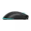Belaidė pelė Baracuda BGM-121 Turtle Black USB