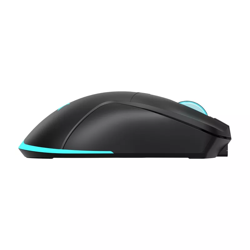 Belaidė pelė Baracuda BGM-121 Turtle Black USB