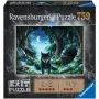 Kontūrinis dėlionė Ravensburger 15028