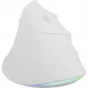 NATEC Crake 2 Pro vertikali pelė USB baltas 12800 DPI