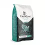 Canagan sausas kačių ėdalas Dental 1,5kg