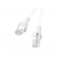 PATCHCORD Cat.6 UTP 1,5 m Baltas FLUKE PASSED LANBERG 10-VNT