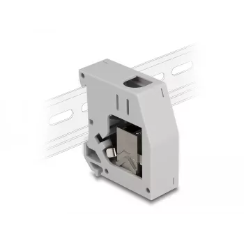 DeLOCK DIN rail adapteris RJ45 lizdas į RJ45 lizdą Cat.6A Pilka