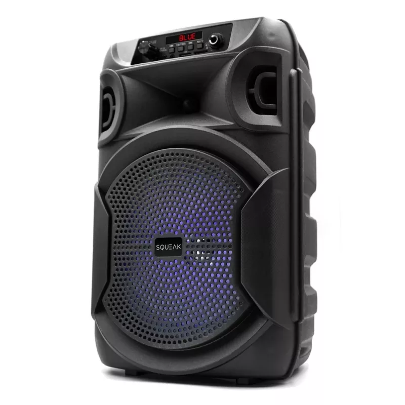BELAIDIS KOLONĖLĖ SQUEAK PULSETOWER SQ1006, BLUETOOTH 5.3, 30W, JUODA
