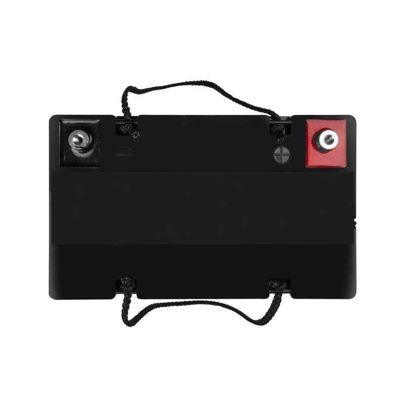 Akumuliatorius AGM VRLA 12V 55Ah IP54