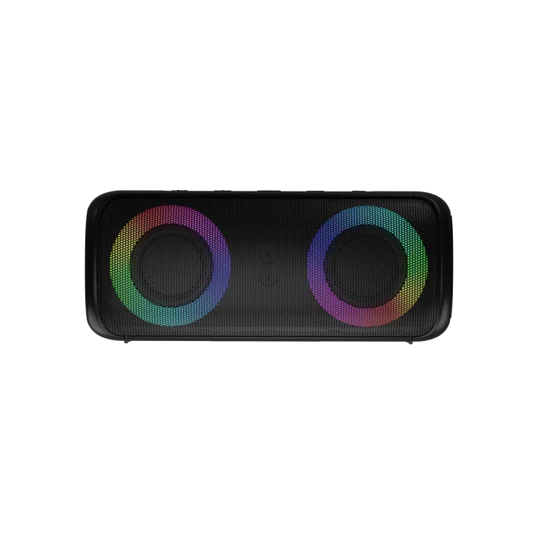 Nešiojamas stereo garsiakalbis Audictus Aurora Pro 20 W