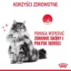 ROYAL CANIN Hair&Skin Care Adult - sausi kačių ėdalai - 400g