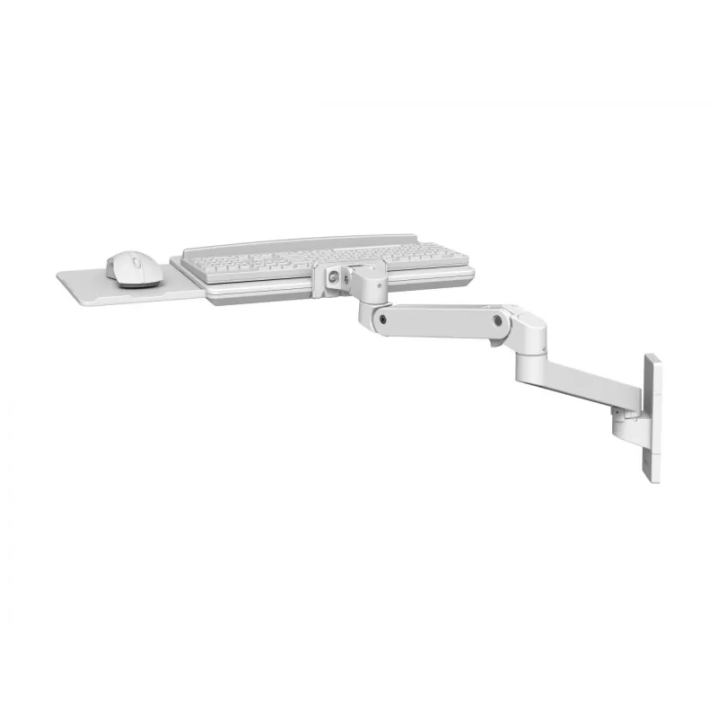 Ergotron LX Pro - klaviatūros ir pelės padėklas su laikančiosios rankenos tvirtinimu (45-685-290)