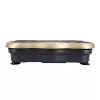 HMS vibracinė platforma SVP01 gold