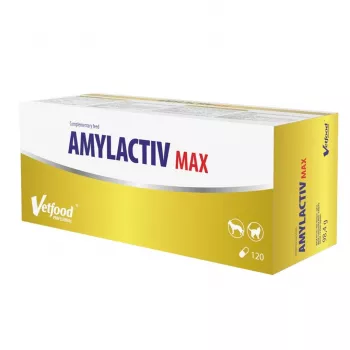 Maisto papildas šunims ir katėms Vetfood Amylactiv MAX – virškinimo palaikymas, 120 kapsulių, 100 g, be sojos ir glitimo