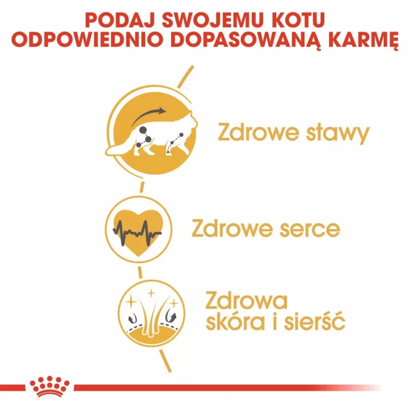 Sausas ėdalas katėms Royal Canin Maine Coon Adult 10 kg – paukštiena (vištiena), 31% baltymų, 20% riebalų