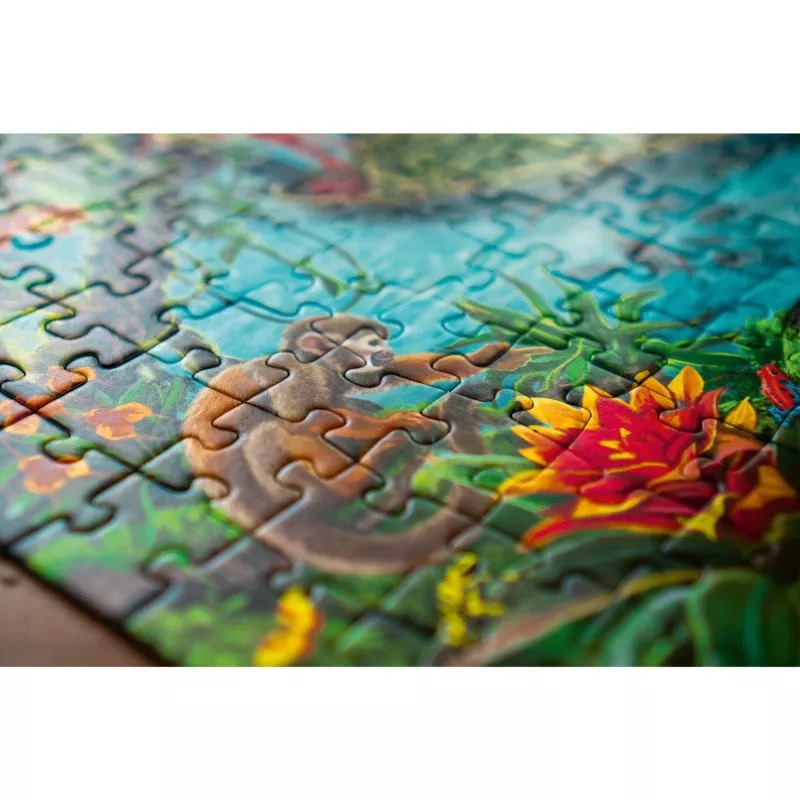 Kontūrinis dėlionė Ravensburger 12924 Art 368 dalių