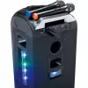 Belaidžių mikrofonų rinkinys Lenco MCW-020BK