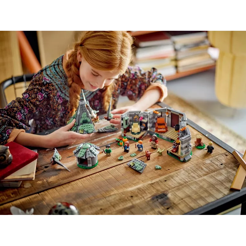 LEGO HARRY POTTER 76428 Hagrid's trobelė – Netikėtas apsilankymas