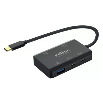 ROLINE USB 3.2 Gen 2 4-ių prievadų USB centras (2x USB-A + 2x USB-C), PD, Type C jungties kabelis (14.02.5060)
