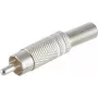 shiverpeaks BS52000-W Kištukas RCA Nerūdijantis Plienas (BS52000-W)