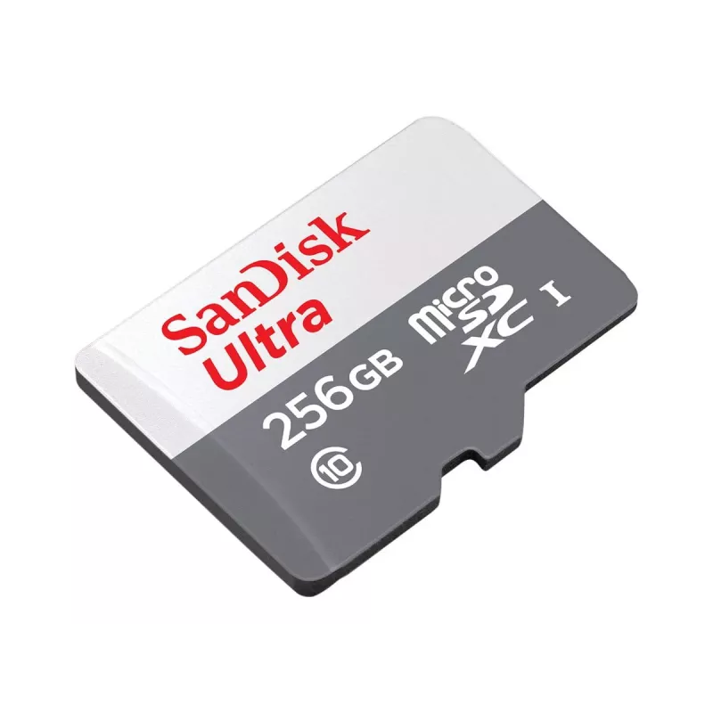 „SanDisk“ 256 GB „MicroSDXC“ UHS-I „Ultra“ atminties kortelė SDSQUNR-256G-GN6TA
