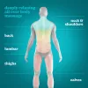 Paguodos masažuoklis HoMedics SP-50H su shiatsu mazgais ir šildymo funkcija