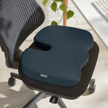 Leitz Ergo Cosy sėdėjimo pagalvėlė, pilka
