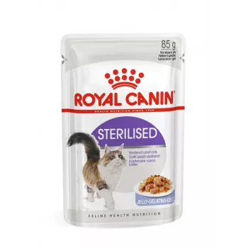 ROYAL CANIN FHN Sterilised padaže - šlapias ėdalas suaugusioms katėms - 12x85g