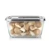 Caso Glass Vakuuminis Indas su Plastikiniu Dangteliu | VacuBoxx Stainless Steel XL | Skaidrus