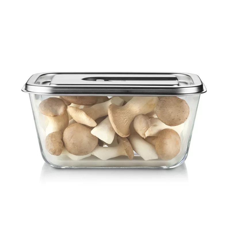 Caso Glass Vakuuminis Indas su Plastikiniu Dangteliu | VacuBoxx Stainless Steel XL | Skaidrus