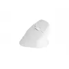 NATEC Crake 2 pelė universali Dešiniajai rankai RF belaidė + Bluetooth optinė 2400 DPI