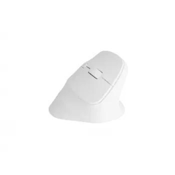 NATEC Crake 2 pelė universali Dešiniajai rankai RF belaidė + Bluetooth optinė 2400 DPI