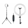 TRACER RING 30cm žiedinis šviestuvas su trikoju 210cm
