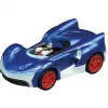 Sonic the Hedgehog - Sonic vs. Shadow Dvynių paketas
