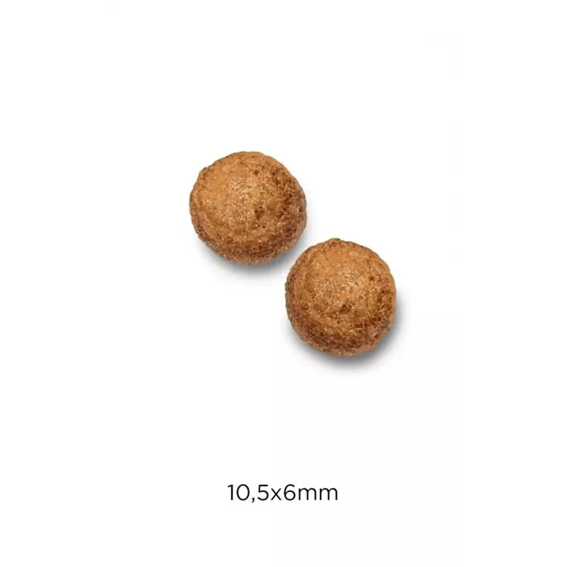 Sausas kačių ėdalas Optimanova Cat Hairball Chicken & Rice 2 kg – dieta plaukų gumulų kontrolei
