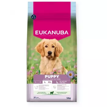 EUKANUBA Puppy L XL Rich in lamb & rice - sausas šunų ėdalas - 12kg